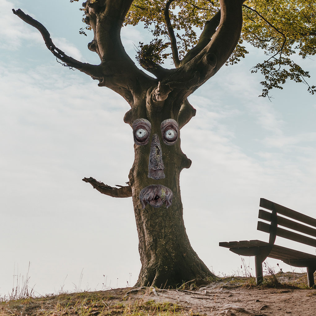 Żywica czarujący ogród z twarz – Resin Art Tree recenzja i cena